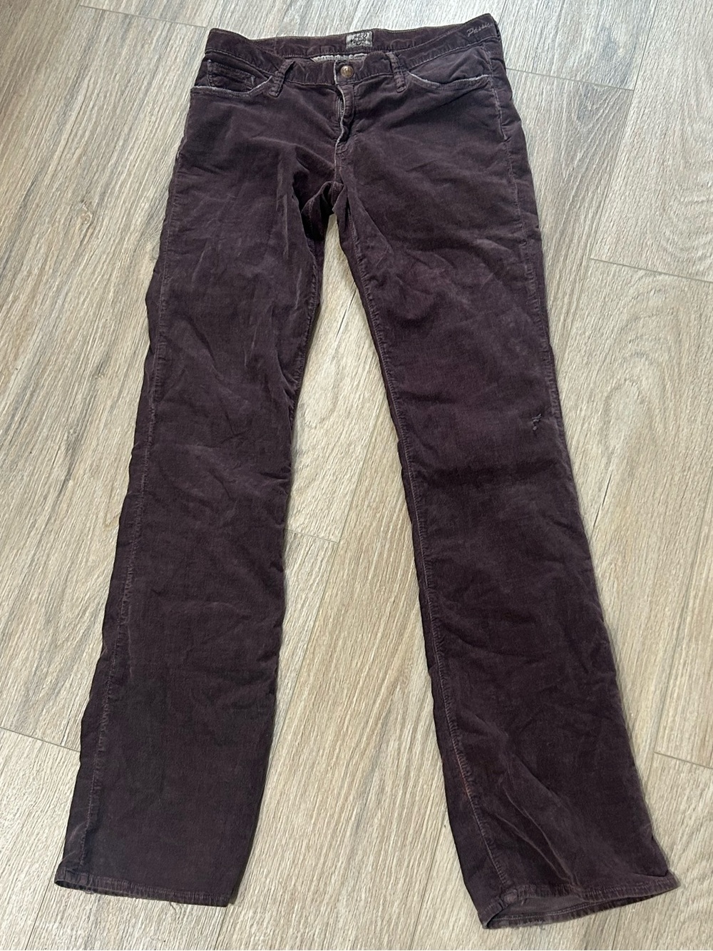 Goldsign Y2K Low Rise Jeans - Dark Brown